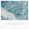 Clemens Ruh - Endurance - Single